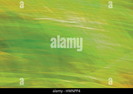 Light Grass Background, Motion Blurred Green Yellow Horizontal Pattern Stock Photo