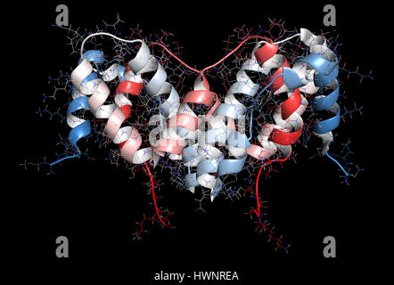 Interferon gamma (IFNg) cytokine molecule, 3D rendering. Recombinant form used in treatment of osteopetrosis and chronic granulomatous disease. Cartoo Stock Photo