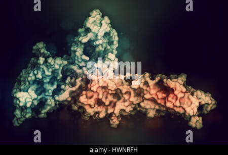 Programmed cell death protein 1 PD-1/PD-L1 ligand complex 3D structure ...