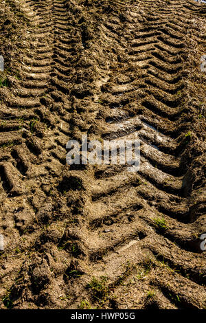 Tracks of tractor on a field. Puy de Dome. Auvergne. France Stock Photo