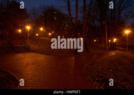 Night in the park and street lights with star filter effect. Park near Yauza river in Babushkinskiy district, Moscow. Stock Photo