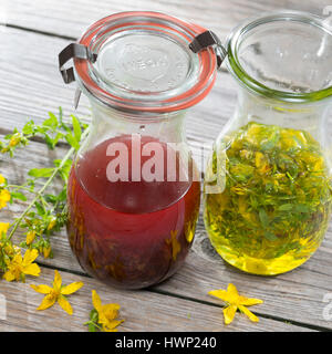 Johanniskrautöl, Johanniskraut-Öl, Rotöl, Johannisöl, Hyperici oleum, Oleum Hyperici, wird aus Johanniskrautblüten in Öl gewonnen, Heilsalbe, Heilcrem Stock Photo