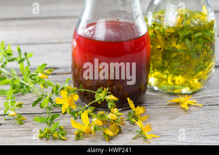 Johanniskrautöl, Johanniskraut-Öl, Rotöl, Johannisöl, Hyperici oleum, Oleum Hyperici, wird aus Johanniskrautblüten in Öl gewonnen, Heilsalbe, Heilcrem Stock Photo