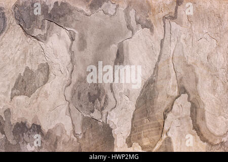 Pattern of a stone slab in beige, gray, brown Stock Photo