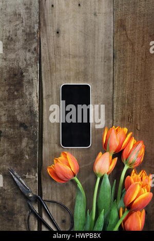 Overhead shot of a cell phone with a bouquet of orange and yellow tulips over a rustic wood table top with antique scissors. Flat lay overhead view st Stock Photo
