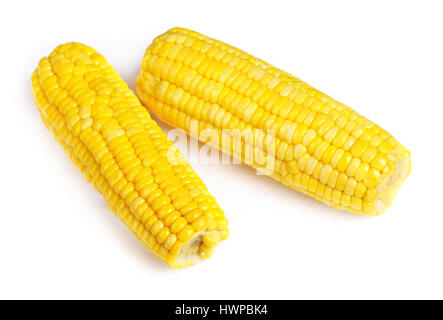 Two of corn ears isolated on white background Stock Photo