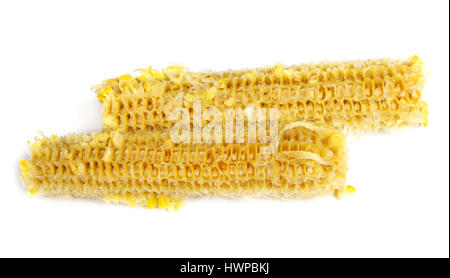 Fully eaten corn on the cob isolated Stock Photo