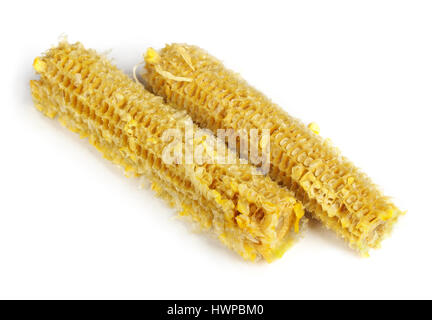 Fully eaten corn on the cob isolated on white Stock Photo