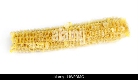 Fully eaten corn on the cob isolated on white Stock Photo