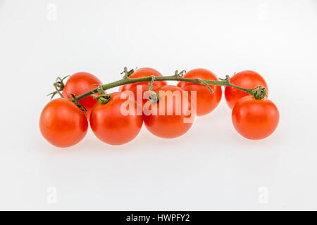 Tomatoes red cherry tomatos showing vine Stock Photo
