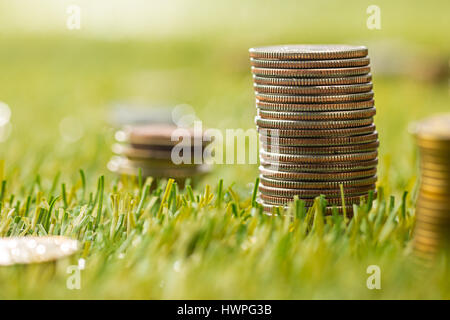 The columns of coins on grass Stock Photo