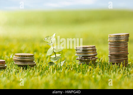 The columns of coins on grass Stock Photo