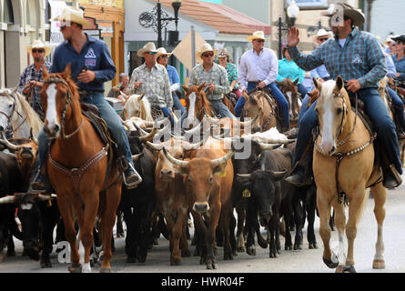 Kissimmee, USA. 03rd Apr, 2017. Cowboys on horses move a herd of cattle through the streets of downtown Kissimmee, Florida during the 2017 Ram National Circuit Finals Annual Cattle Drive on April 3, 2017. The cattle drive is a prelude to the rodeo event which will be held at the Sliver Spurs Arena in Kissimmee from April 6-9, 2017. Credit: Paul Hennessy/Alamy Live News Stock Photo