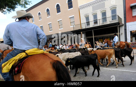 Kissimmee, USA. 03rd Apr, 2017. Cowboys on horses move a herd of cattle through the streets of downtown Kissimmee, Florida during the 2017 Ram National Circuit Finals Annual Cattle Drive on April 3, 2017. The cattle drive is a prelude to the rodeo event which will be held at the Sliver Spurs Arena in Kissimmee from April 6-9, 2017. Credit: Paul Hennessy/Alamy Live News Stock Photo