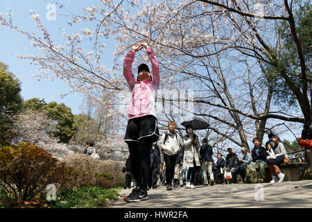 Tokyo, Japan. 4th Apr, 2017. A woman takes pictures of the cherry blossoms at Chidorigafuchi park on April 4, 2017, Tokyo, Japan. The Japan Meteorological Agency announced that Tokyo's cherry trees were in full bloom on Sunday morning based on measurements taken at Yasukuni Shrine. Chidorigafuchi park is one Tokyo's most popular locations for hanami (cherry blossom viewing) during this season. Credit: Rodrigo Reyes Marin/AFLO/Alamy Live News Stock Photo