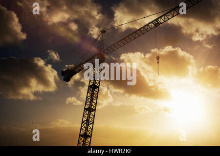 Studio Shoot of a crane  against cloudy sky landscape Stock Photo