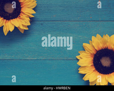 Two sunflowers on a blue vintage wooden background Stock Photo