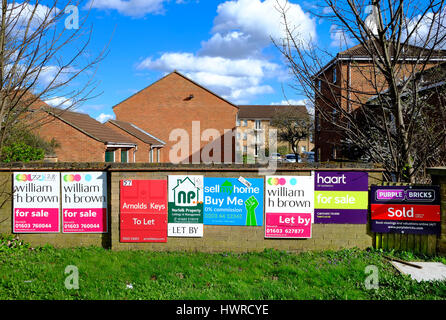 estate agents boards, outside blocks of flats, norwich, norfolk, england Stock Photo