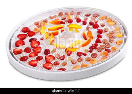 Slices of fruits and berries on dehydrator tray. Isolated on white background. Stock Photo