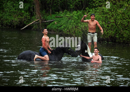 Three young men bathe horses in the river Stock Photo