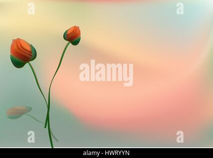The flowers of red poppy closeup on grey background. Stock Vector