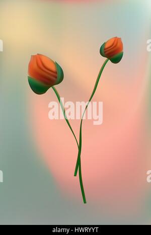 The flowers of red poppy closeup on grey background. Stock Vector
