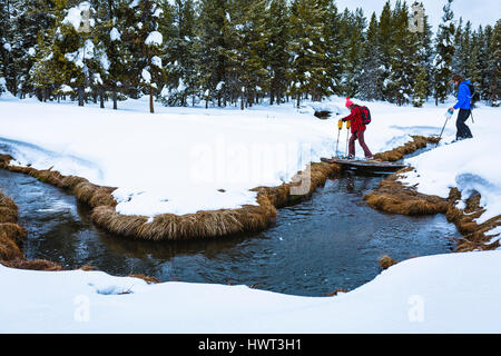 Side view of hikers crossing stream in forest during winter Stock Photo