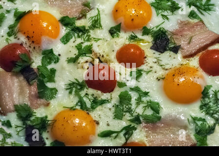 Tasty and nutritious eggs fried in a skillet with bacon, tomatoes, dill and parsley. Stock Photo