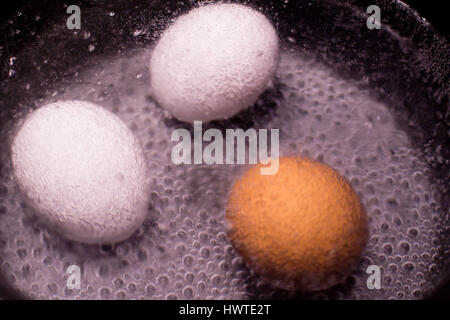 Two white and one brown egg in pan of boiling water Stock Photo