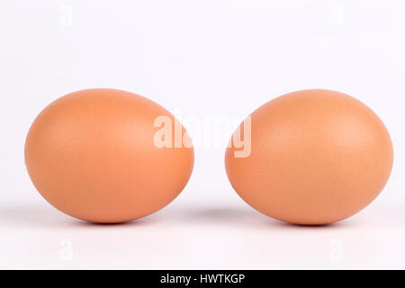 Two eggs, isolated on a white background. Stock Photo