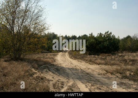 In Wilderness Jüterbog after more than 150 years as a military training area since 1992 in one of the rare Steppe landscapes in Germany nature rules.  Stock Photo