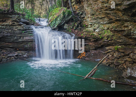 Tucked away surrounded by greenery year round, guarded by rhododendron thickets and steep valleys lies a secluded waterfall on Ramsey Branch. Stock Photo