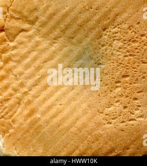 Texture background of a white bread crust. Stock Photo