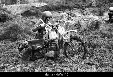 Competitors struggle in the mud at the Sudbury Stages Enduro motorcycle event at Sudbury in Suffolk, England on November 27, 1977. Stock Photo