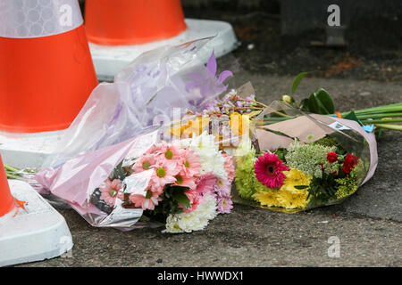 Westminster, London, UK 23 Mar 2017- Floral Tributes on Westminster Bridge. Scotland Yard said on 23 March 2017 that police have made seven arrests in raids carried out over night in Birmingham London and elsewhere in the country after the terror attack in the Westminister Palace grounds and on Westminster Bridge on 22 March 2017 leaving four people dead, including the attacker, and 29 people injured. Credit: Dinendra Haria/Alamy Live News Stock Photo