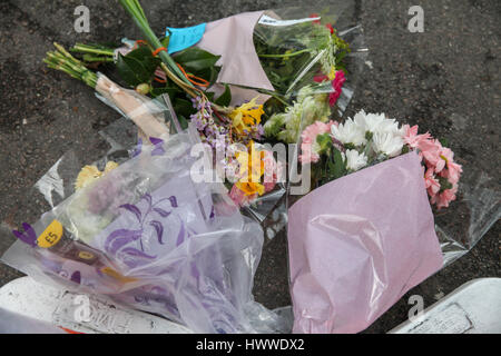 Westminster, London, UK 23 Mar 2017- Floral Tributes on Westminster Bridge. Scotland Yard said on 23 March 2017 that police have made seven arrests in raids carried out over night in Birmingham London and elsewhere in the country after the terror attack in the Westminister Palace grounds and on Westminster Bridge on 22 March 2017 leaving four people dead, including the attacker, and 29 people injured. Credit: Dinendra Haria/Alamy Live News Stock Photo
