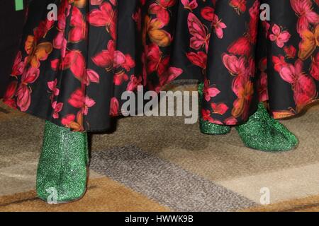 Los Angeles, CA, USA. 23rd Mar, 2017. Maria Doyle Kennedy at arrivals for ORPHAN BLACK at 34th Annual Paleyfest Los Angeles, The Dolby Theatre at Hollywood and Highland Center, Los Angeles, CA March 23, 2017. Credit: Priscilla Grant/Everett Collection/Alamy Live News Stock Photo