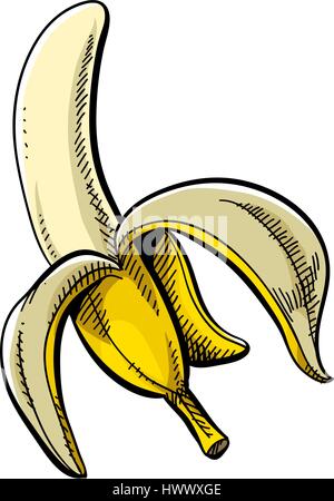A cartoon of a yellow, peeled banana. Stock Vector