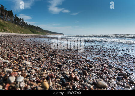 Smooth pebbles on Baltic sea coast, Latvia. Stock Photo