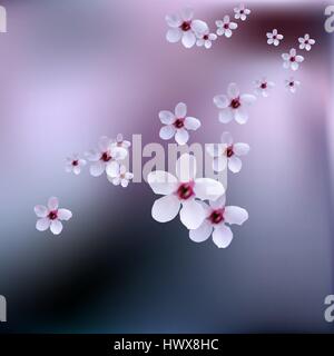 Delicate spring flowers, wild cherries on branch of cherry tree. Cherry blossoms of japanese sakura. Stock Vector