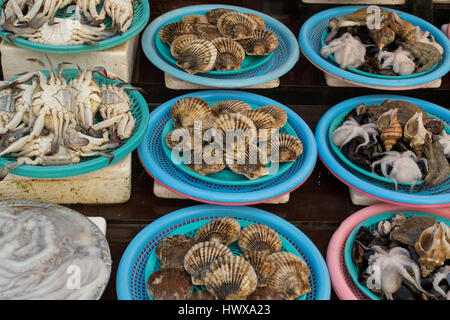 Various Seafood on Blue Plates in Busan Fish Market South Korea Stock Photo