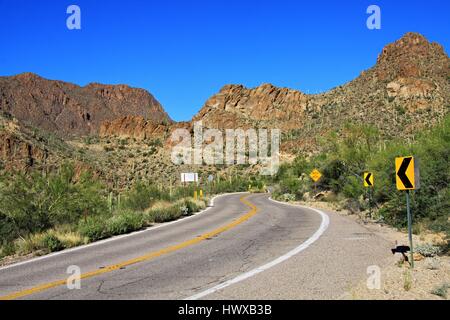 Panoramic Road in The Magical Landscape in Saguaro National Park, Tucson, Arizona, North America Stock Photo