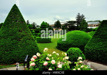 Kennett Square, Pennsylvania - June 3, 2015:  Clipped taxus (yew) trees in the Topiary Garden at Longwood Gardens   * Stock Photo