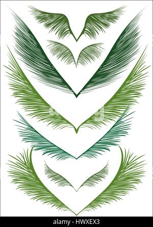 a set of green palm fronds on white background Stock Vector