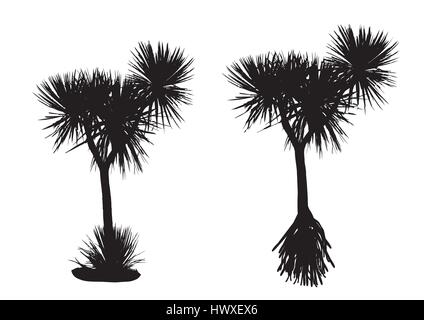 two silhouette pandanus trees on white background Stock Vector