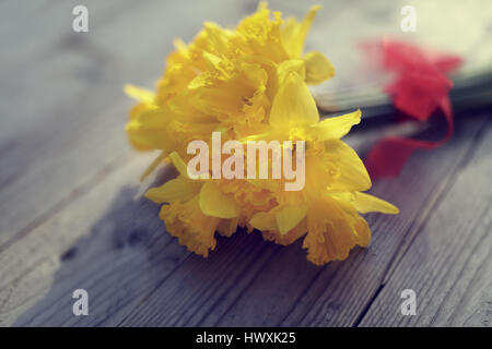 Daffodils fresh cut on wooden table Stock Photo
