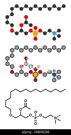 Platelet Activating Factor (PAF) signaling molecule. Stylized 2D renderings and conventional skeletal formula. Stock Vector