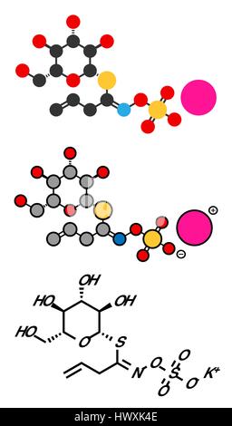 Sinigrin glucosinolate molecule. Present in some cruciferous vegetables (Brussels sprouts, broccoli, black mustard, etc). Stylized 2D renderings and c Stock Vector