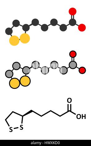 Lipoic acid enzyme cofactor molecule. Present in many nutritional supplements. Believed to have anti-oxidant, anti-aging and weight-loss effects. Styl Stock Vector