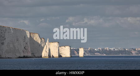 Parson's Barn and Pinnacles chalk stacks adjacent to Handfast Point of the Purbeck Peninsula with Bournemouth seafront backdrop, Dorset UK Stock Photo